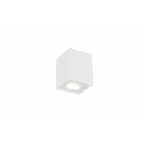 Foco de techo Spot GU10 Orientable Biscuit White Trio Lighting (1/5)