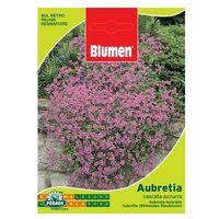 Bolsita Con Semillas Aubretia Blue Waterfall
