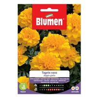 Semillas de Caléndula Enana Double Yellow Blumen
