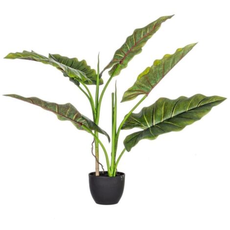 Dieffenbachia mit 7 Blättern im Topf 600x300x240