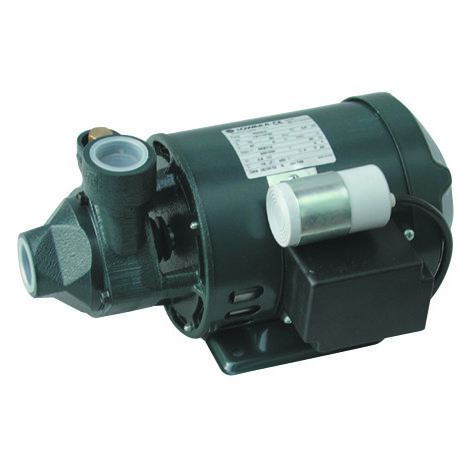 Periphere elektrische Pumpe 0,50 kW 0,70 PS