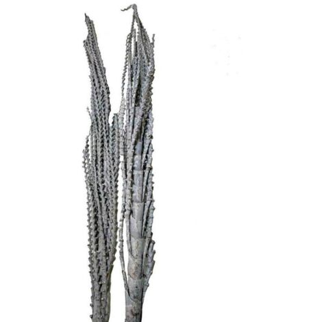 Galho buriti 150 cm gefrostet natur