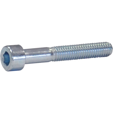 Vite metrica masidef testa cilindrica m5 - mm.20