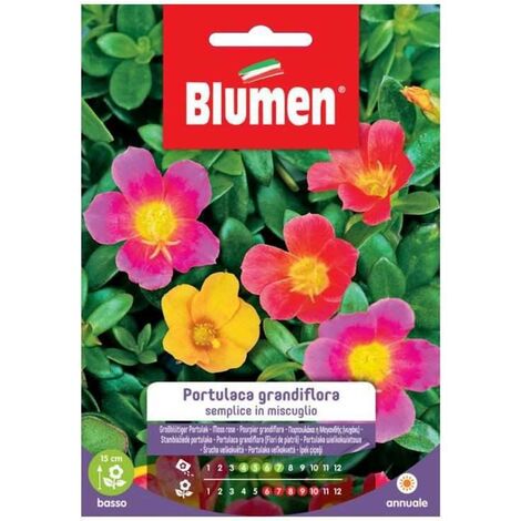 Mélange de graines simples de Portulaca grandiflora (1/3)