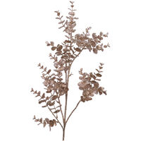 Fleur de Noël champenoise