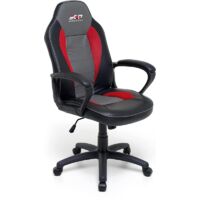 Poltrona Gaming Professionnelle avec Coussins Lombaires et pour le Cou - Gris