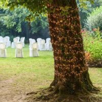 Catena mini cluster 1000 LED 4x20,5m esterno