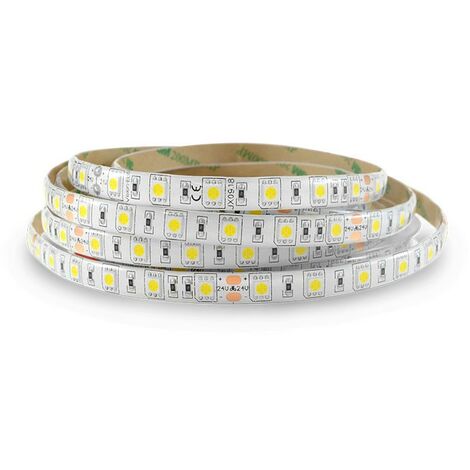 Vision-El – Ruban LED dimmable 12V 60 LEDs/m 14,4W/m 270lm/m 180° étanche IP65 5m – Blanc froid 6000K pour éclairage extérieur