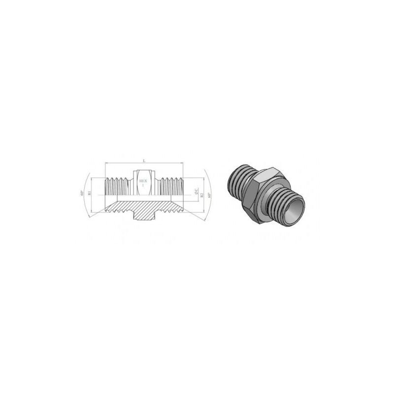 ADAPT.M-M BSP(60º)INOX 1/4 - DICSA