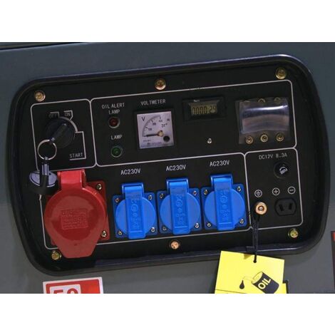 Varan Motors Diesel Stromerzeuger 5kVA - Dreiphasen Notstromaggregat 400/230V