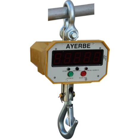 -CAHERSA- Báscula Gancho Pesaje AYERBE AY-1000-GP 1TN (1/3)