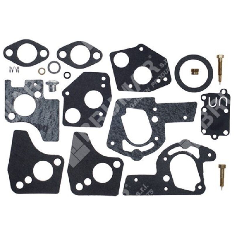 PRIMER CARBURATORE BRIGGS & STRATTON PER SPRINT, CLASSIC, QUATTRO - Foto 8