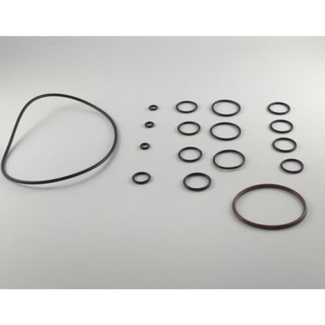 KIT ORING POMPA IDROPULITRICE ANNOVI REVERBERI RCV RCA RC ORIGINALE 42470