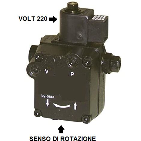 POMPA GASOLIO IDROPULITRICE LAVORWASH ANNOVI REVERBERI PORTOTECNICA DESTRA 220V