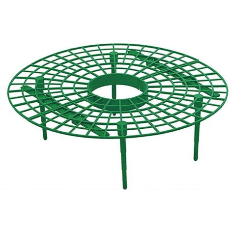 Support de Culture de Fraises Support de Vigne Grimpant Pratique pour Fraises 4 Pieds Robustes évitant la Pourriture du Sol Les Jours de Pluie (1/5)