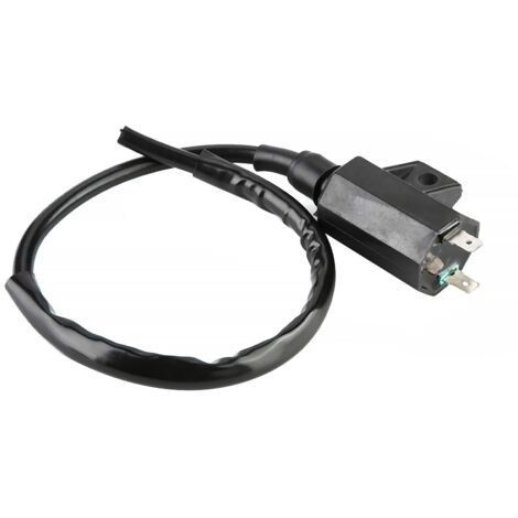 Bobine d'allumage de moteur de moto pour Kawasaki Brute Force 750 KVF750A 4x4i 2005-2007 (1/5)
