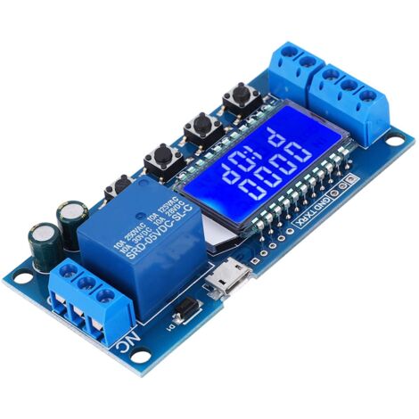 Relais Temporisé Programmable LCD - Minuterie Cycle 0,1s à 99h - DC12V - Pour Automatisation, éclairage, Irrigation