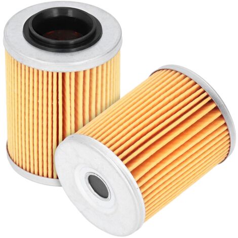Filtres à huile moteur 0800 – 011300, 2 pièces, accessoires de remplacement pour ATV CF Moto CForce UForce ZForce (1/5)