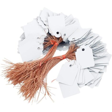 200pcs étiquettes de plantes PVC suspendu fleur graine nom étiquette étiquette marqueur marqueur signe extérieur maison cour identification pour Graine Tag Jardin Etiquettes Kit (blanc) (1/5)