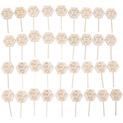 tiquettes succulentes Watch Me Grow, 36 pièces, étiquettes hexagonales en bois écologiques et sres pour plantes de décoration de Pot de fleur (1/5)