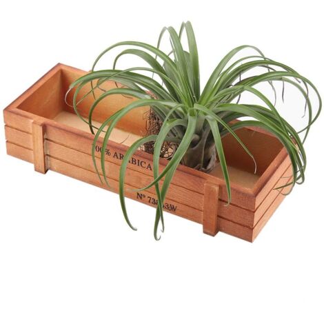 Jardinière en Bois d'herbe de Fleur de Jardin en Bois Vintage, Pots Succulents Creux Rectangle fenêtre Plante de boîte de Chevet, 22,7 x 10 x 4,8 cm/8,9 x 3,9 x 1,9 Pouces (1/5)