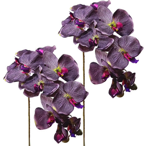 Tiges D'orchidées Artificielles, Fausses Fleurs D'orchidées au Toucher Réel, Plantes à Tige pour Décoration de Mariage et de Maison (B) (1/5)