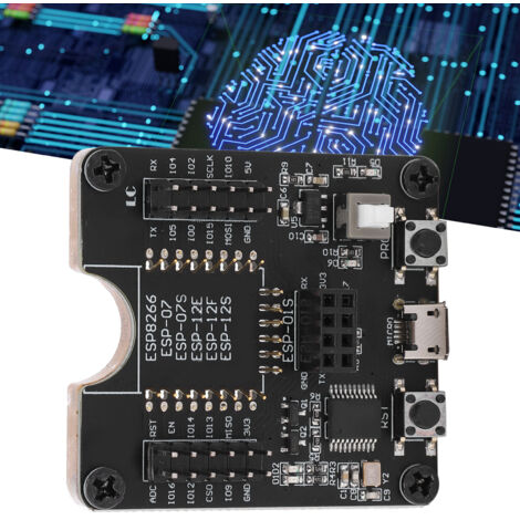 Carte De Développement ESP8266 Eujgoov - Test Gravure Firmware Pour ESP-12F/12E Et Modules