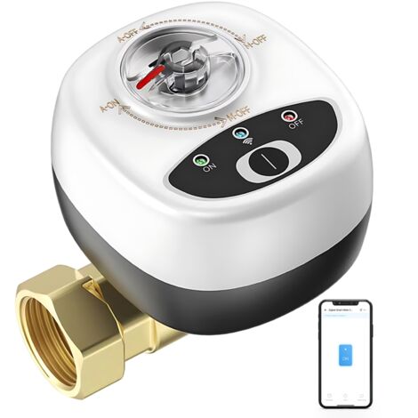 Vanne d'eau WiFi résistante IP65, minuterie automatique, commande vocale intelligente, application intelligente DN15