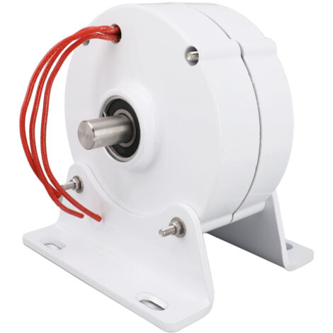 Générateur à aimant permanent double arbre 24 V, alternateur synchrone triphasé avec base pour éolienne 100 W (1/5)