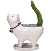 Pots De Plantes en Céramique, Jardinière Succulente D'intérieur Pot De Fleur De Cactus en Céramique Moderne Petit Conteneur De Boîte De Fenêtre d'herbe D'intérieur d'argile pour (Blanc)