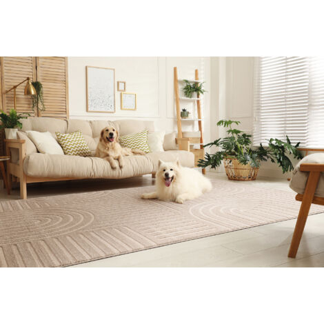 Tapis Salon à poil court, Boho géométrique - Beige - 160cm x 230cm