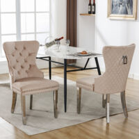 Sedia per sala da pranzo (sedia da cucina, sedia da soggiorno con battente unico sul retro, 2 pezzi), sedia imbottita con finitura a chiodini, gambe di supporto in metallo, rivestimento in velluto, be