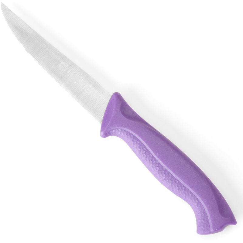 Couteau de cuisine HACCP à lame dentelée pour personnes allergiques 205 mm - violet - HENDI 842171