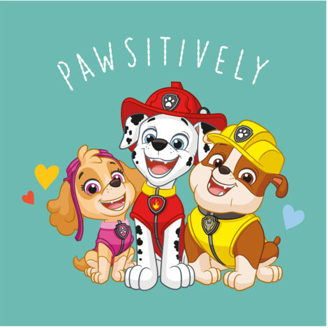 Serviette De Plage Paw Patrol Pour Enfants - Skye, Chase, Marshall, Rubble, Everest - 70x140 Cm 100% Coton Douce Et Absorbante
