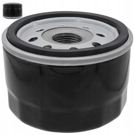 BRIGGS STRATTON FILTRE À HUILE TONDEUSES POUR TRACTEUR 492932 696854 COURT / BAS (1/5)
