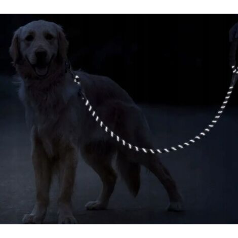 CORDE D'ENTRAÎNEMENT EN LAISSE POUR CHIENS, ÉPAIS, 3M, RÉFLÉCHISSANTE
