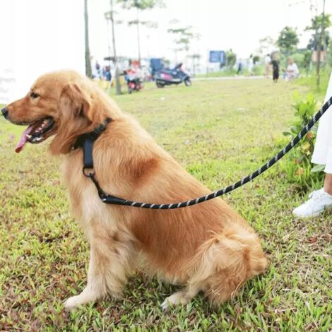 CORDE D'ENTRAÎNEMENT EN LAISSE POUR CHIENS, ÉPAIS, 3M, RÉFLÉCHISSANTE