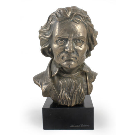 Buste de Ludwig van Beethoven en marbre, statuette d'une personnalité célèbre, objet de décoration pour bureaux, écoles et hôtels par Art-Dog (1/5)