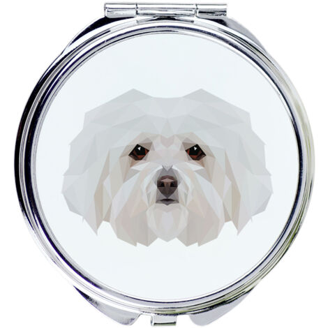 Bolonais - un miroir avec une photo et une inscription géométrique par Art-Dog (1/3)