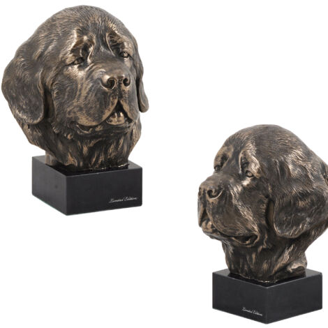 Terre-Neuve, Waterloo - Statuette de chien, buste sur socle en pierre, sculpture, trophée pour une exposition canine par Art-Dog (1/5)