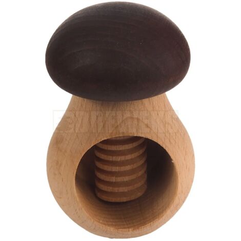 Casse-Noisette - champignon brun (1/3)