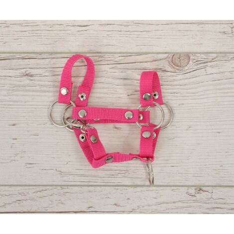 Licol Funny Horses Bleu Foncé/Bleu/Rose Foncé Taille Unique HKM