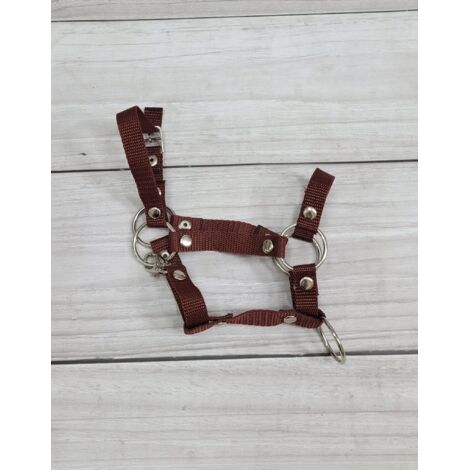 Weaver Leather Licol Et Laisse En Corde Tressée Diamantée - Qualité Premium Pour Chevaux