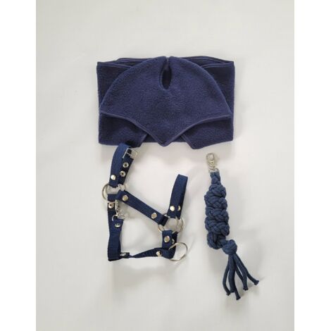 Mouche Bleue Méduse La Vie Marine - Photo gratuite sur