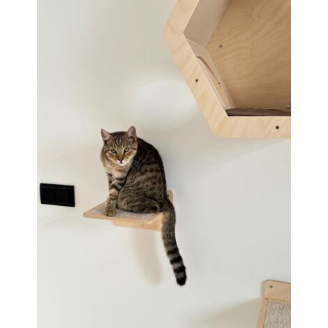 Marchepied mural. Marchepied mural pour chats. (1/4)