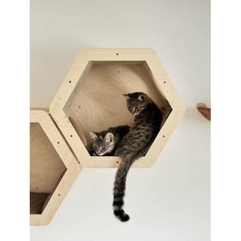 Lit mural hexagonal pour chat