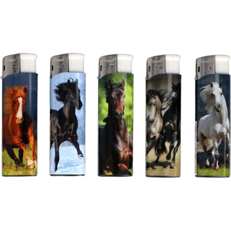 Lot de 5 briquets à gaz piézo classiques avec chevaux