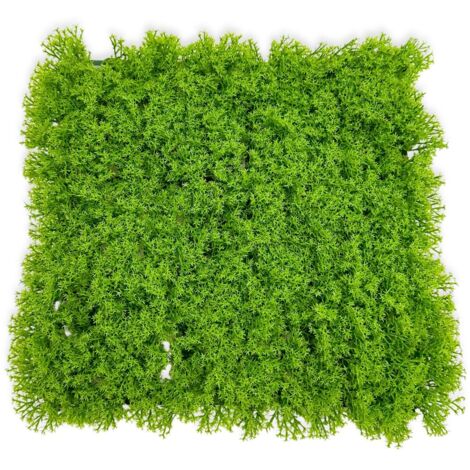 Tapis artificiel de fond BioPlant pour terrarium, lichen clair, 25 x 25 cm (1/5)