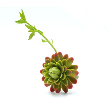 Succulente artificielle BioPlant Blooming Succulent pour terrarium semi-sec et steppique (1/4)