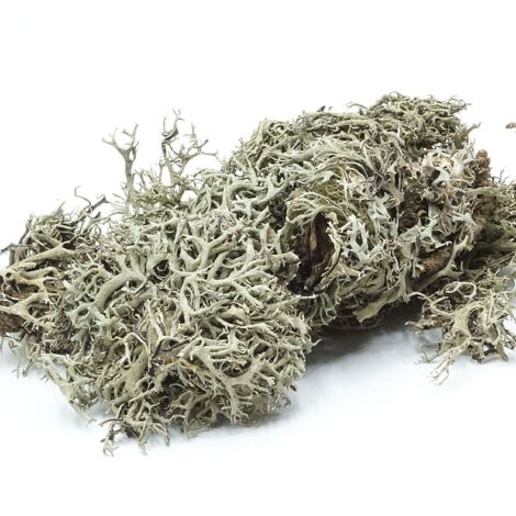 Lichen BioGrey 25 g (1/5)